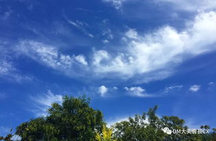 天高云淡是什么意思 天高云淡的含义