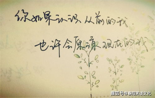 梦想成真是什么意思?