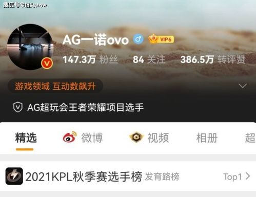 诸的意思文言文，诺的意思和含义