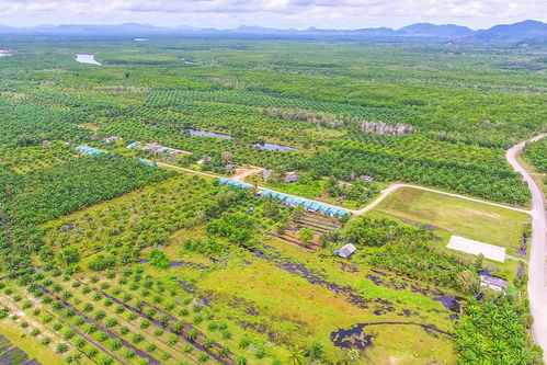 一千亩等于多少平方米换算，大亩一亩地等于多少平方米?