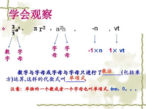 单项式和多项式的概念，单项式的系数