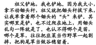 祖父的园子作者是谁代表作是什么，祖父的园子作者是谁他还写过什么作品