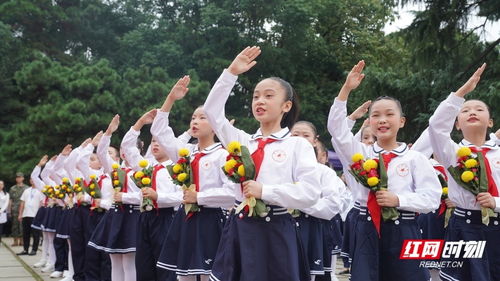 少先队队礼是什么?
