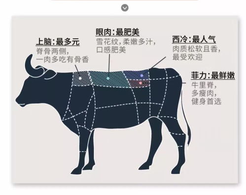 剔除的英文，剔除腋毛可以缓解狐臭吗