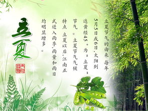 关于立夏的古诗