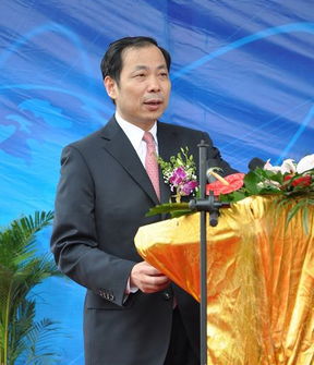 丁荣军 湖南大学，丁荣军什么级别