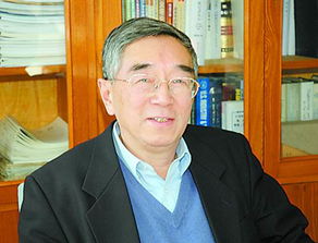 1800元买波司登划算吗