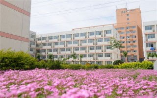 新乡职业技术学院怎么样，新乡职业技术学院长椅事件