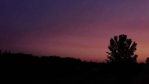 劳动节作文900字:五月的天空