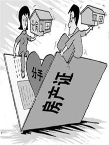 析产的意思析产的意思是什么