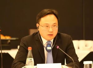 陶平生数学竞赛，陶平生老师