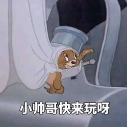 觇在文言文中的意思