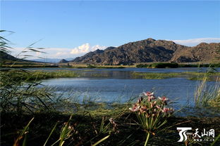 可可苏里和可可托海在一个地方吗