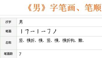 “男”的笔顺是什么?