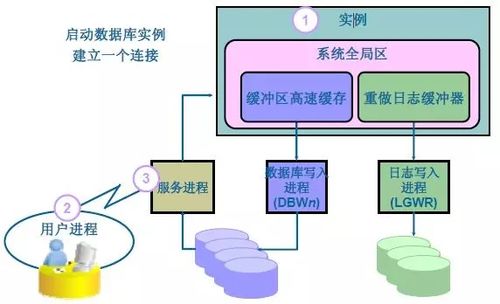 两是什么结构的字体,部首是什么，霎是什么结构