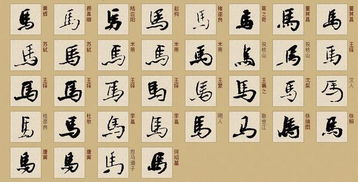 马字笔画顺序怎么写?