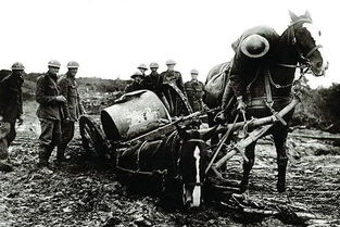 同盟国和协约国是什么意思