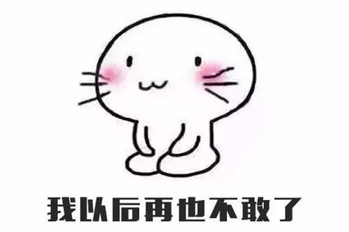 道歉的话给女朋友认错，道歉的话给女朋友挽回800字