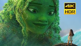 腹部的行业名词