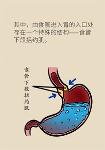 烧心是什么原因?应怎样治疗，烧心是什么感觉