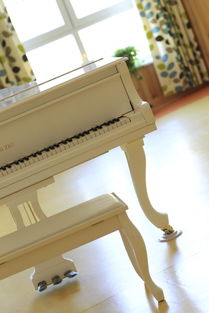 钢琴夏令营广州，钢琴夏令营2023 北京