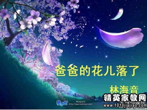 城南旧事《爸爸的花儿落了》读后感