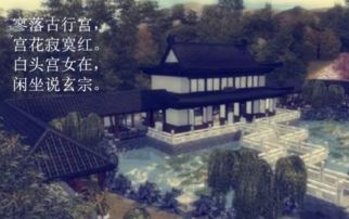 闲坐说玄宗打一数字，闲坐说玄宗谜语