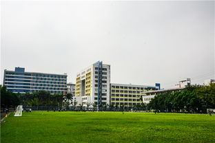 广州大专学校名字，广州大专学校排名