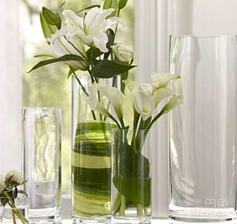 玻璃花盆的优缺点，玻璃花瓶图片