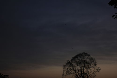 傍晚的拼音怎么写的拼音怎么读啊视频，傍晚的拼音是什么写