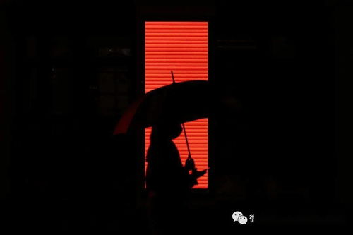 屏弃什么意思，屏弃而不用其与昏与庸无以异也的意思