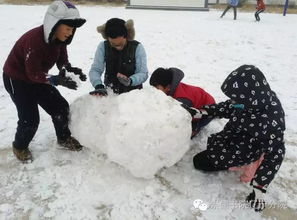 柴门闻犬吠上一句，柴门闻犬吠(打一字)