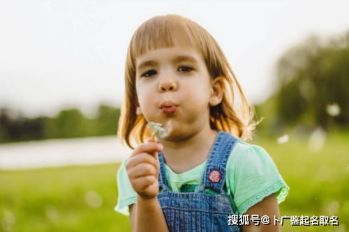 姓顾的女孩名字?