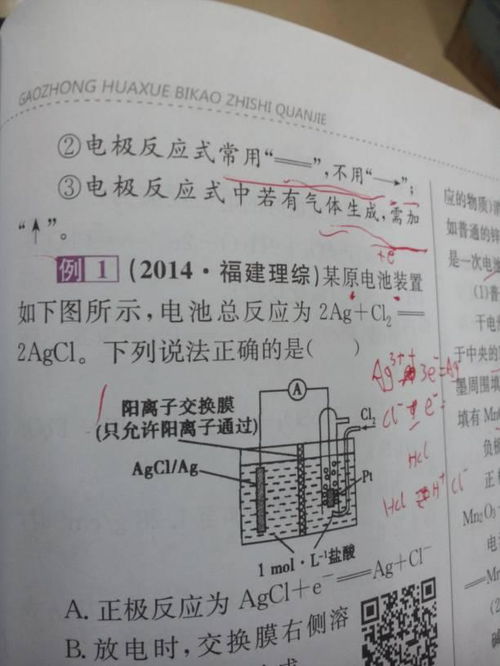 物料守恒怎么写