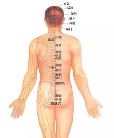 脊背弯曲如何自然矫正，脊背上长满了痘痘是什么原因