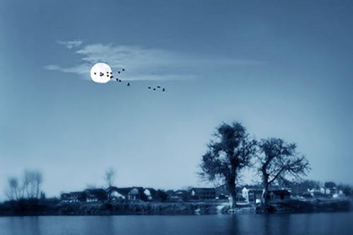 鹿从今夜白月是故乡明的上一句，月是故乡明的上一句是什么意思