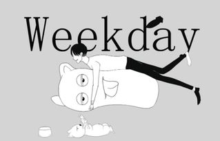 今天星期几用英语怎么说怎么回答，明天星期几用英语怎么说