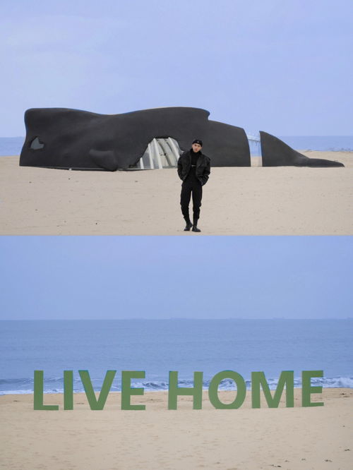 搁浅是什么意思