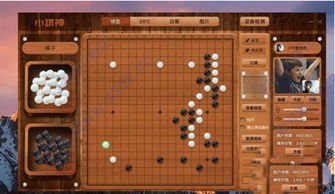 南海棋神到底是谁