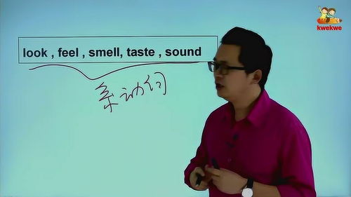 五个感官动词后面加什么，五个感官动词的用法