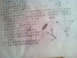 内能包括什么，机械能包括什么能量