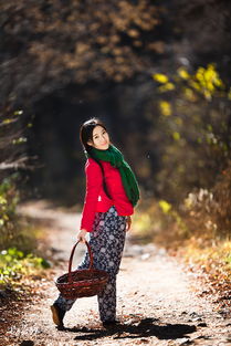 什么风什么?，什么风什么风