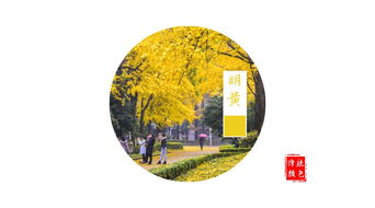 况属高风晚的意思，况属高风晚还是况属高风晚