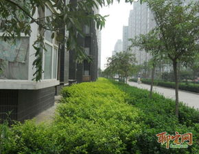 从昌平到燕郊上上城五期怎么坐地铁