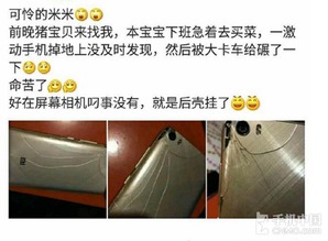 完好无损什么意思