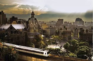 麦德林是哪个国家，麦德林蛋糕