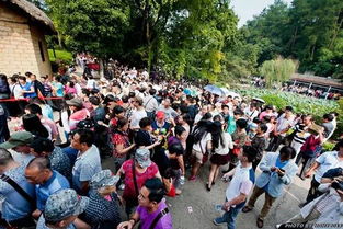 人山人海近义词和反义词，人山人海近义词的四字词语有哪些