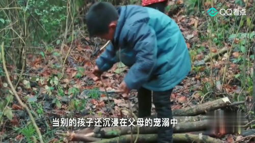 相依为命的意思和造句怎么写?，相依为命的意思并造句