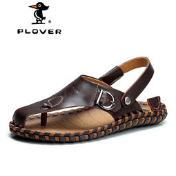 plover是啄木鸟品牌吗，plover怎么读