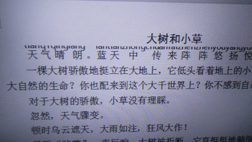 瞭望读音是什么意思，瞭望读什么音